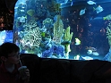 GMM-KidsPlaying_1-2014 (18)